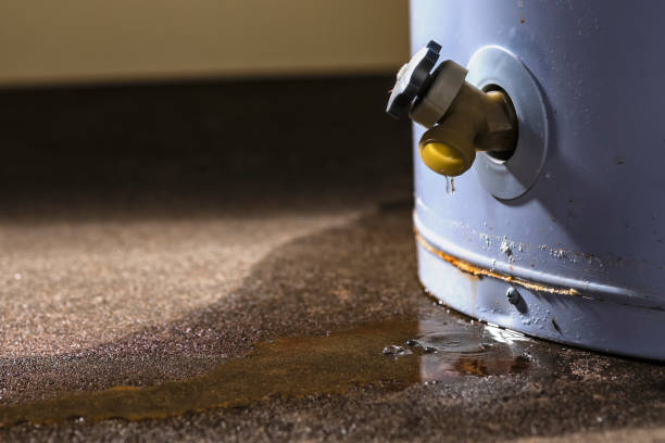 Best Sewage cleanup and water damage restoration  in Nolensville, TN