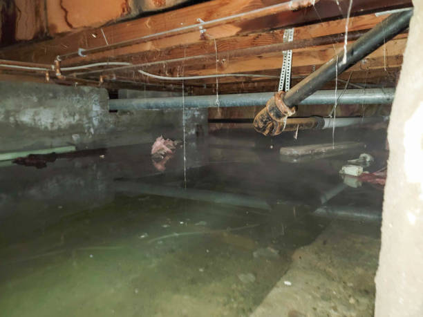 Water damage restoration mold remediation in TN