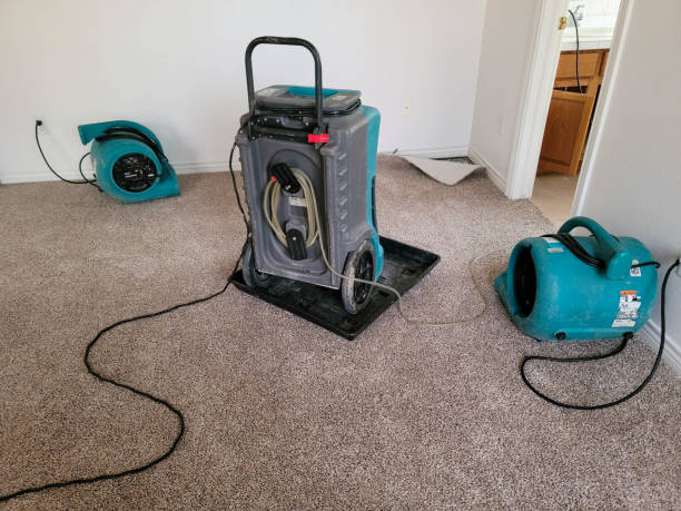 Best Water damage contractors near me  in Nolensville, TN