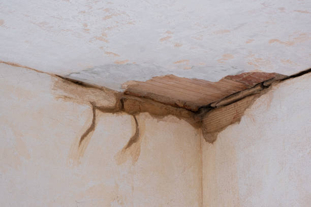 Water damage restoration experts in TN