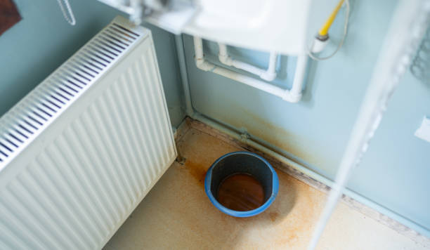 Best Professional water damage repair  in Nolensville, TN