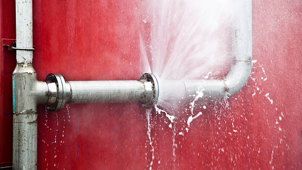 Best Water damage cleanup near me  in Nolensville, TN